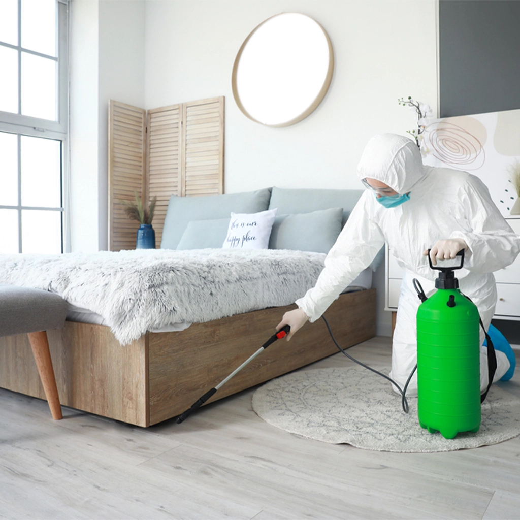 Home Disinfection