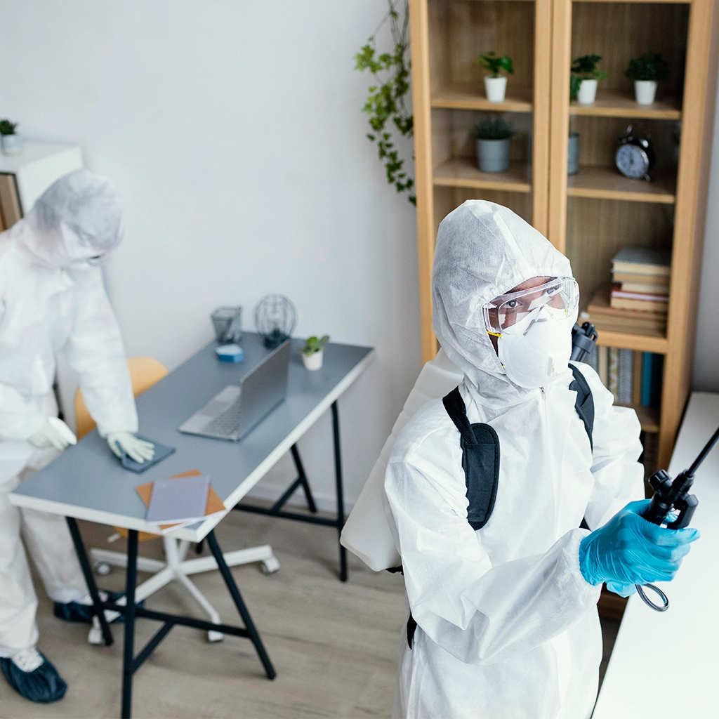 Office/Store Disinfection